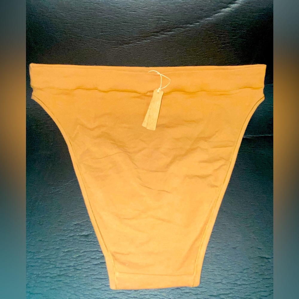 NWT SKIMS PANTIES